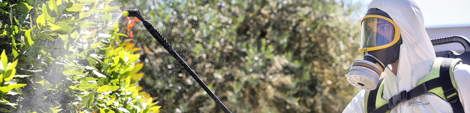 ecoservice-forli it disinfestazioni-disinfezioni-e-derattizzazioni-forli 005