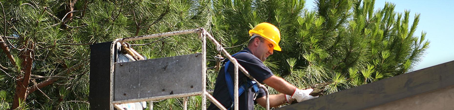 ecoservice-forli it pulizie-grondaie-forli 005