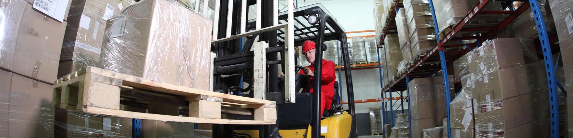 ecoservice-forli it servizi-logistica-settore-ittico-forli 005